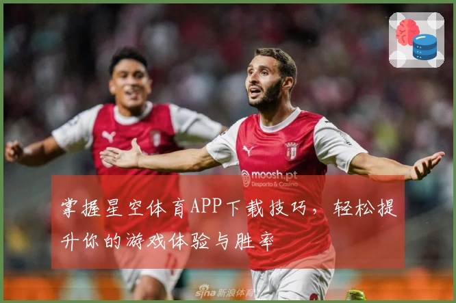 掌握星空体育APP下载技巧，轻松提升你的游戏体验与胜率