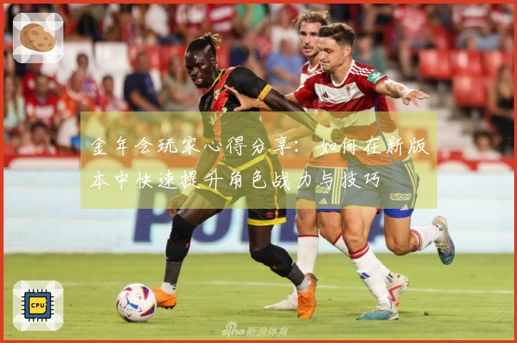 金年会玩家心得分享：如何在新版本中快速提升角色战力与技巧